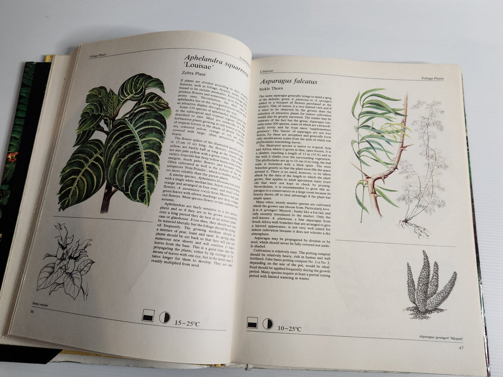 The Hamlyn Book of House Plants - Jiri Haager