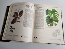 The Hamlyn Book of House Plants - Jiri Haager