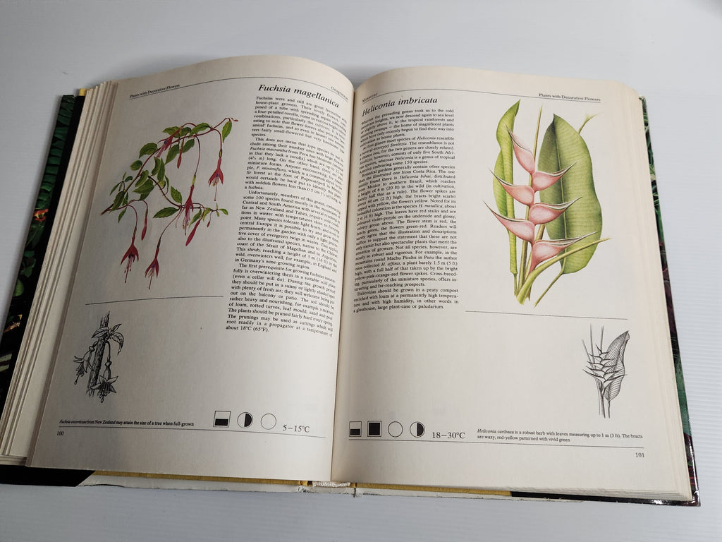 The Hamlyn Book of House Plants - Jiri Haager