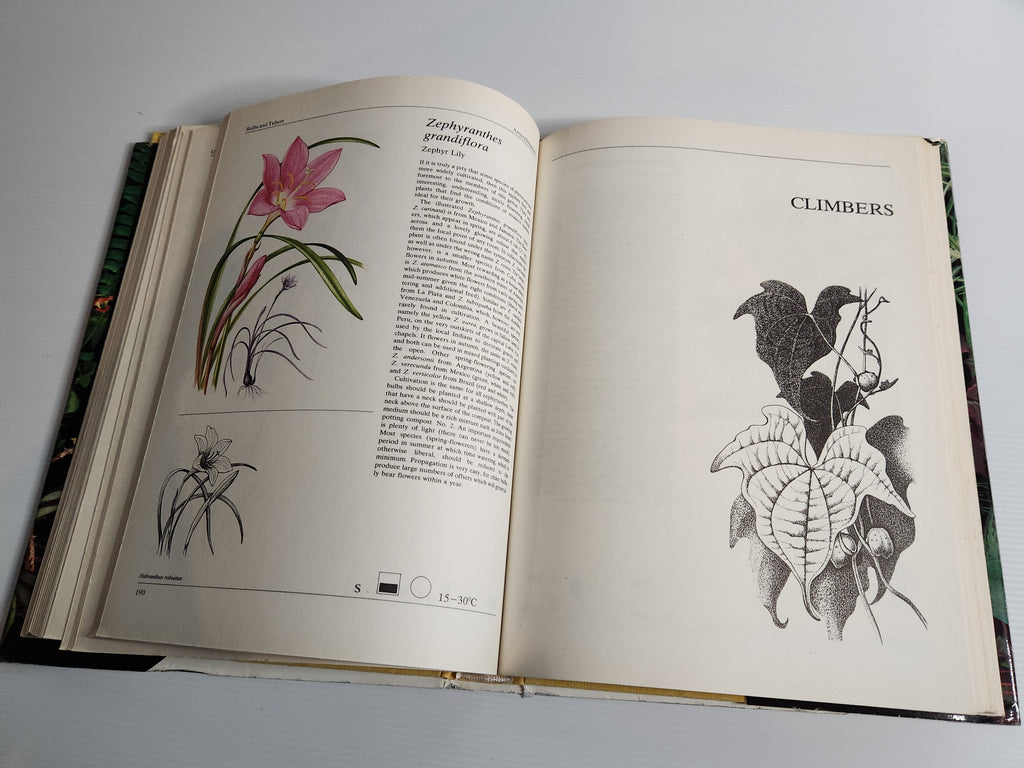 The Hamlyn Book of House Plants - Jiri Haager