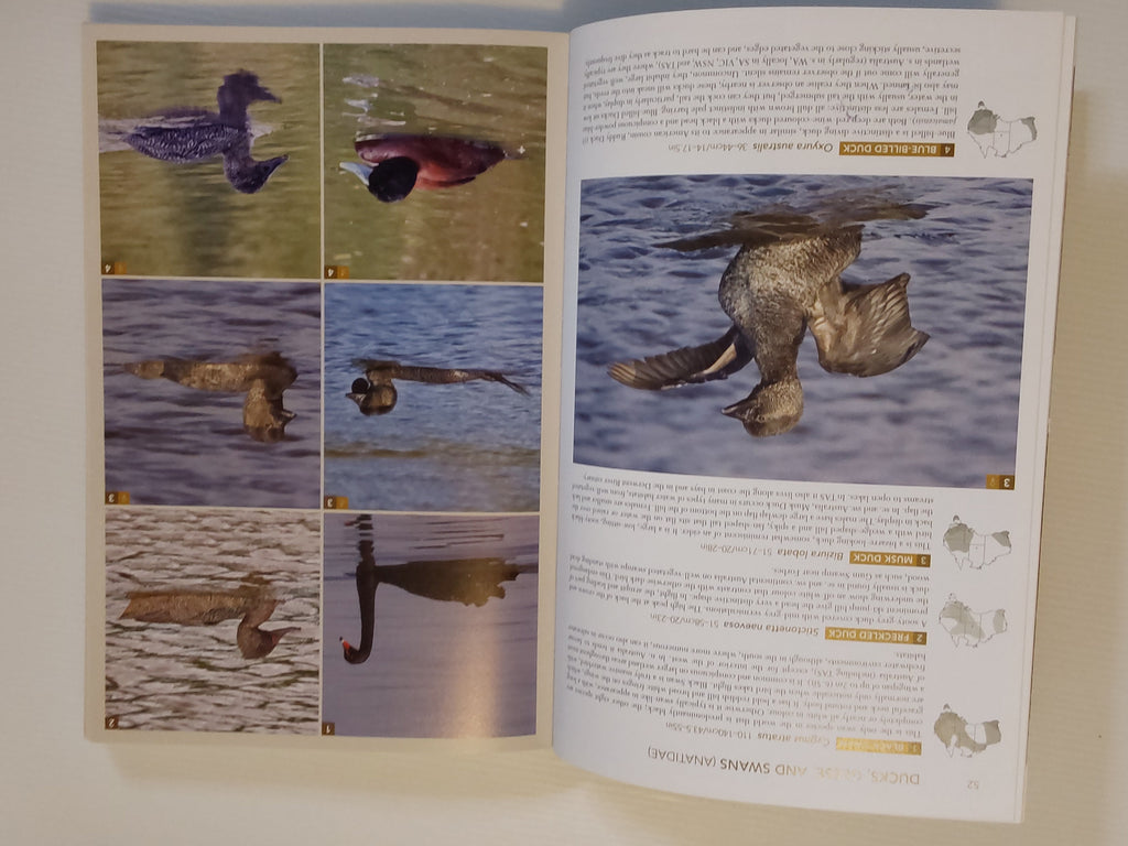 Birds of Australia; A Photographic Guide - Iain Campbell, Sam Woods and Nick Leseberg