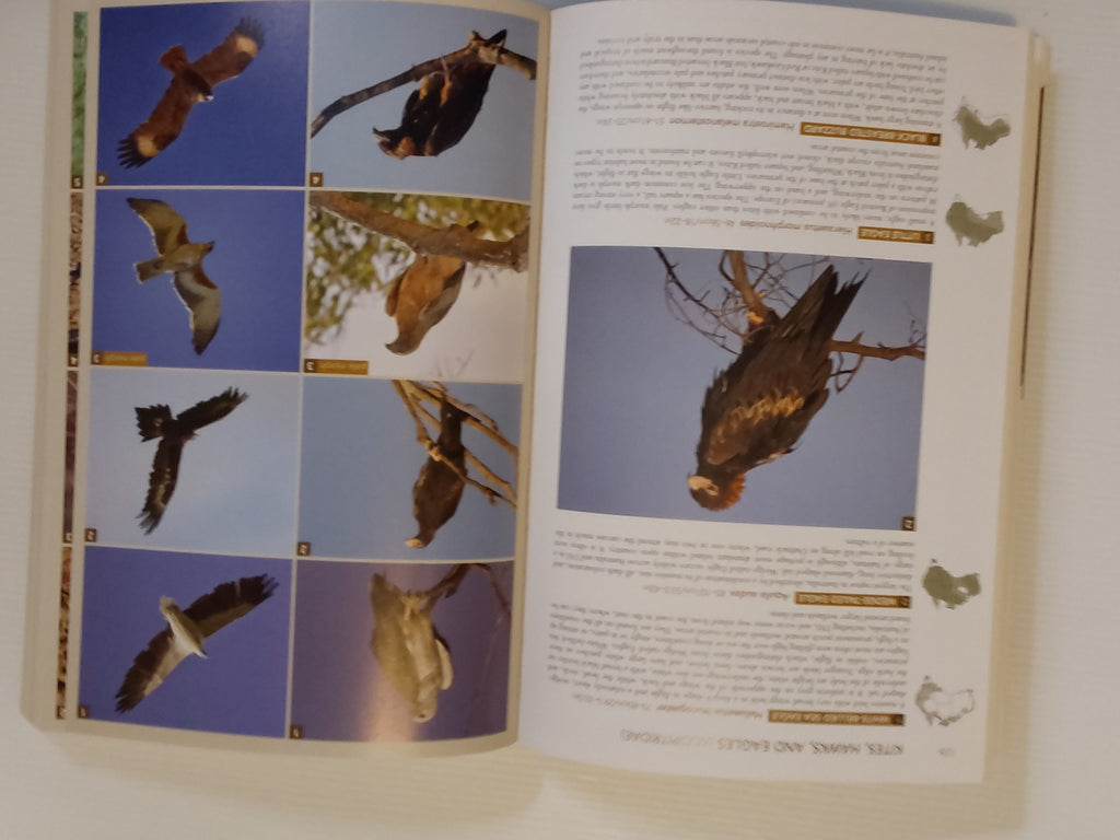 Birds of Australia; A Photographic Guide - Iain Campbell, Sam Woods and Nick Leseberg