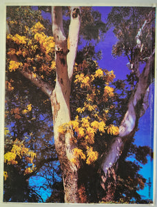 A Treasury of Australian Wildflowers - Douglass Baglin, Barbara Mullins and Frank Hurley