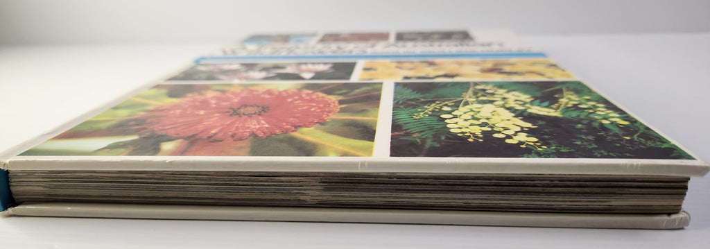 A Treasury of Australian Wildflowers - Douglass Baglin, Barbara Mullins and Frank Hurley