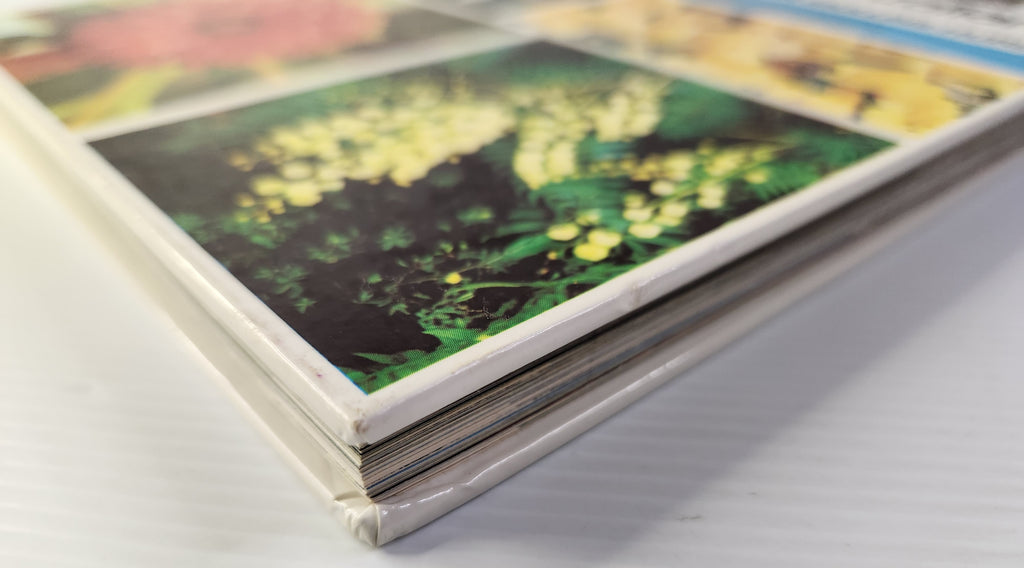 A Treasury of Australian Wildflowers - Douglass Baglin, Barbara Mullins and Frank Hurley