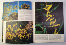 A Treasury of Australian Wildflowers - Douglass Baglin, Barbara Mullins and Frank Hurley