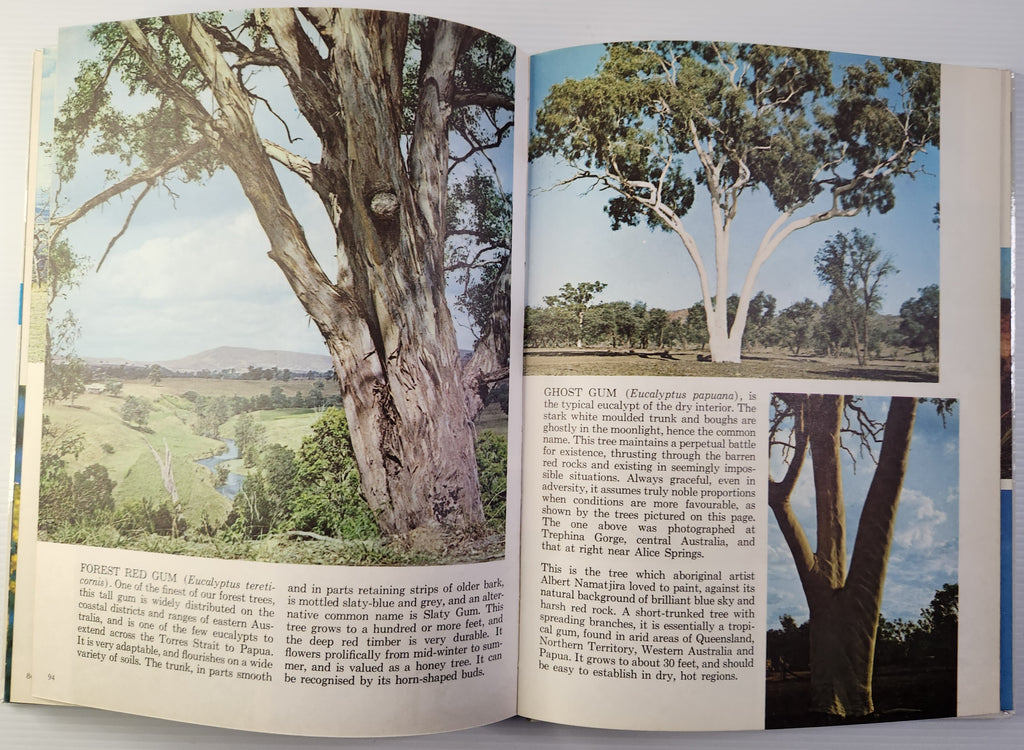 A Treasury of Australian Wildflowers - Douglass Baglin, Barbara Mullins and Frank Hurley