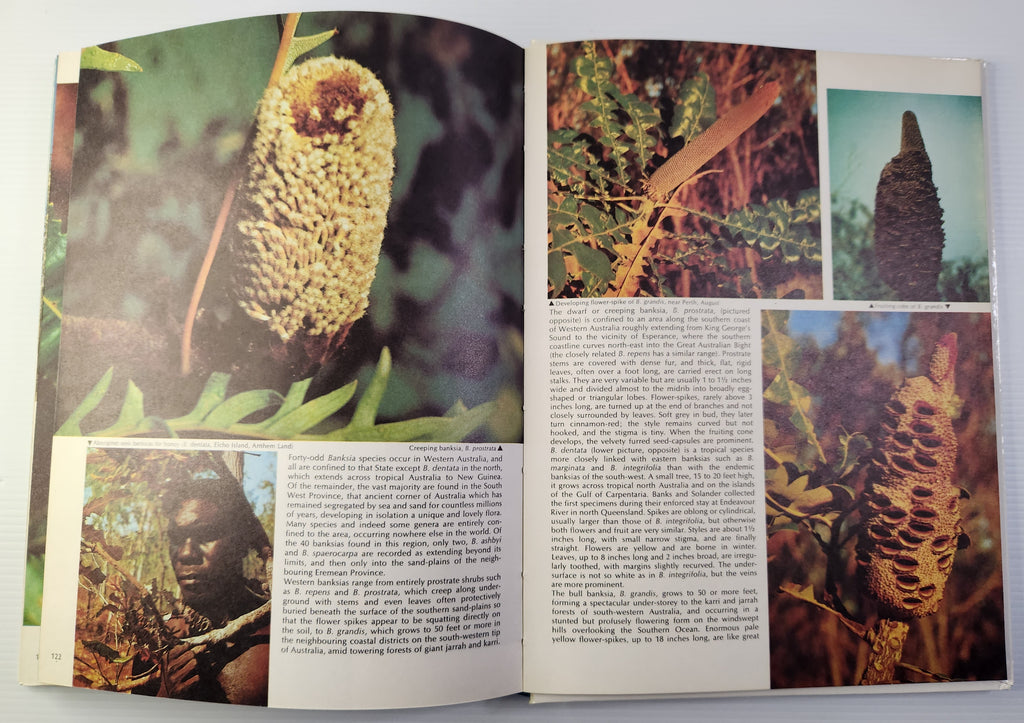 A Treasury of Australian Wildflowers - Douglass Baglin, Barbara Mullins and Frank Hurley