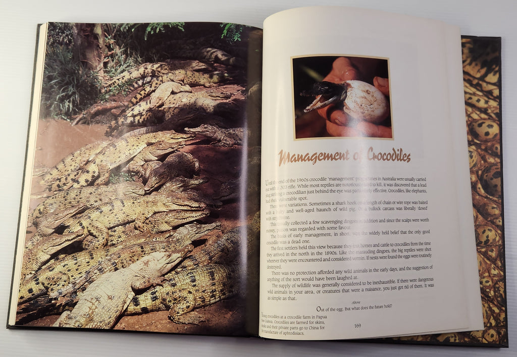 Crocodile Attack in Australia - Hugh Edwards