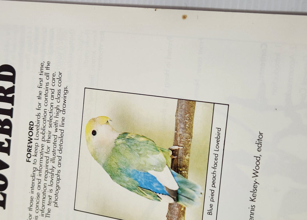 Caring for your Lovebird - Dennis Kelsey-Wood (Editor)