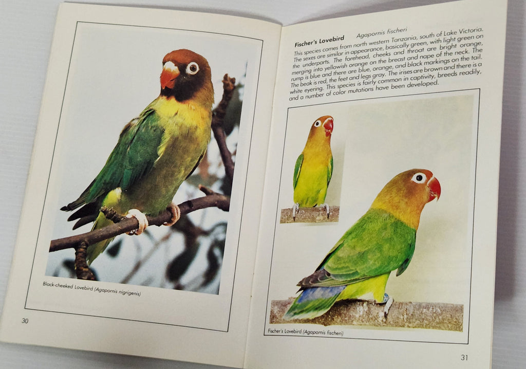 Caring for your Lovebird - Dennis Kelsey-Wood (Editor)