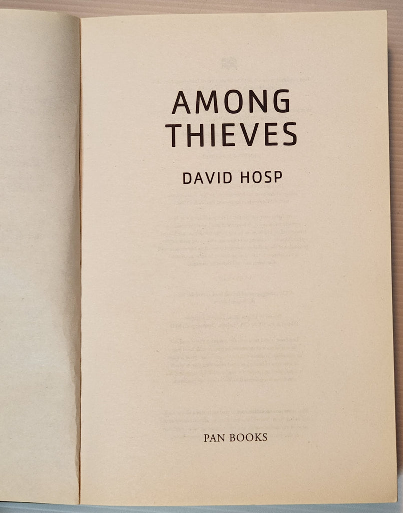 Among Thieves - David Hosp