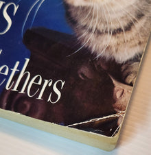 The Cat Who Went to Paris - Peter Gethers