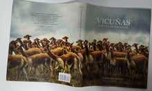 Vicunas; Survival of the Finest - Michael J. Safley