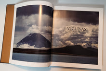 Vicunas; Survival of the Finest - Michael J. Safley