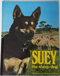 Suey the Sheep-Dog - John Richardson