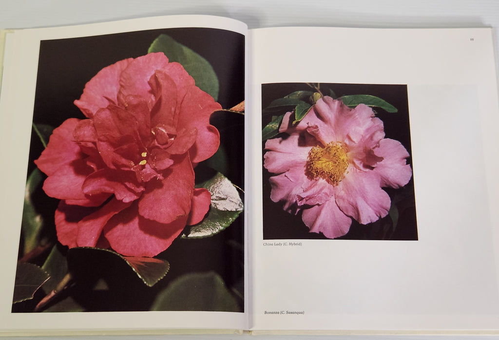 The Colourful World of Camellias - A.G.W. Simpson