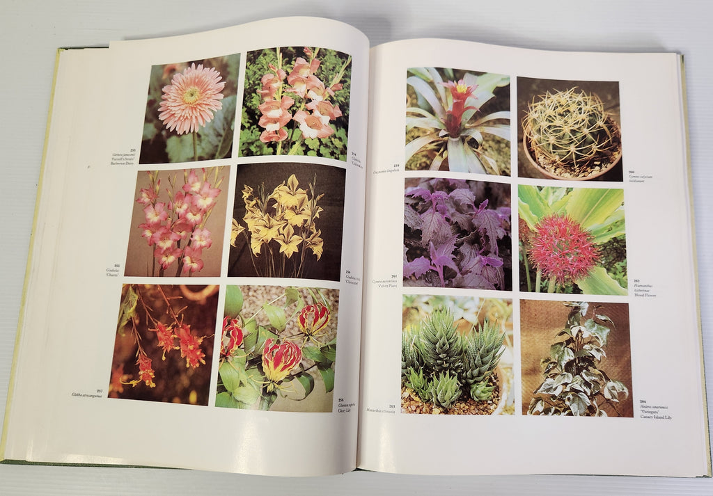 The Dictionary of Indoor Plants in Colour - Roy Hay, F.R. McQuown, G. and K. Beckett