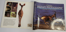 Classic Wildlife Photography - New Holland Publishing