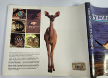 Classic Wildlife Photography - New Holland Publishing