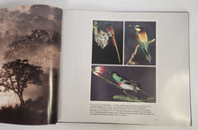 Classic Wildlife Photography - New Holland Publishing