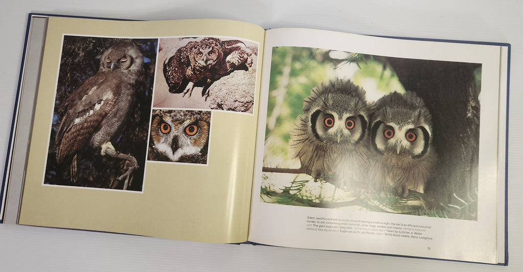 Classic Wildlife Photography - New Holland Publishing