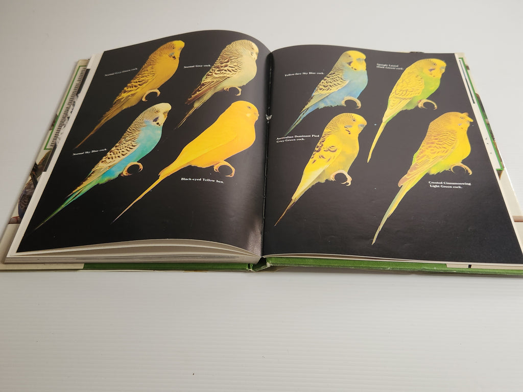 The Complete Book of Budgerigars - John Scoble