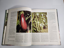 Australian All Colour Book of Vegetable Gardening - Shirley Stackhouse (ed.)