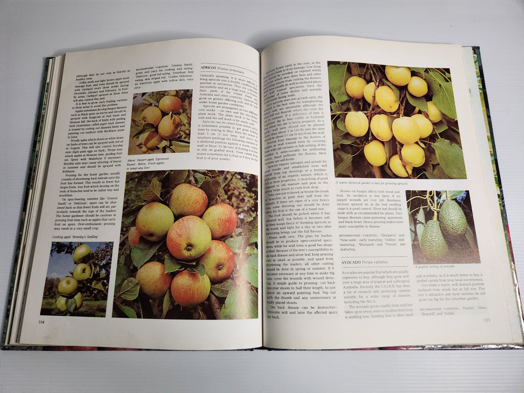 Australian All Colour Book of Vegetable Gardening - Shirley Stackhouse (ed.)