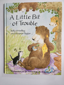 A Little Bit of Trouble - Sally Grindley