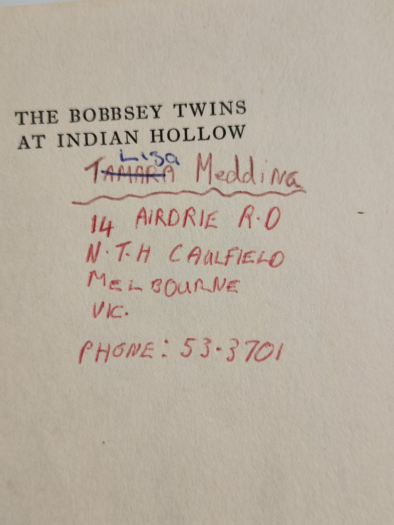 The Bobbsey Twins at Indian Hollow - Laura Lee Hope