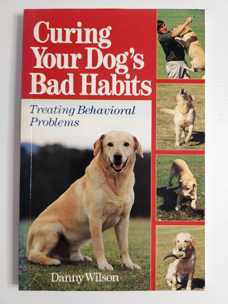 Curing Your Dog's Bad Habits - Danny Wilson