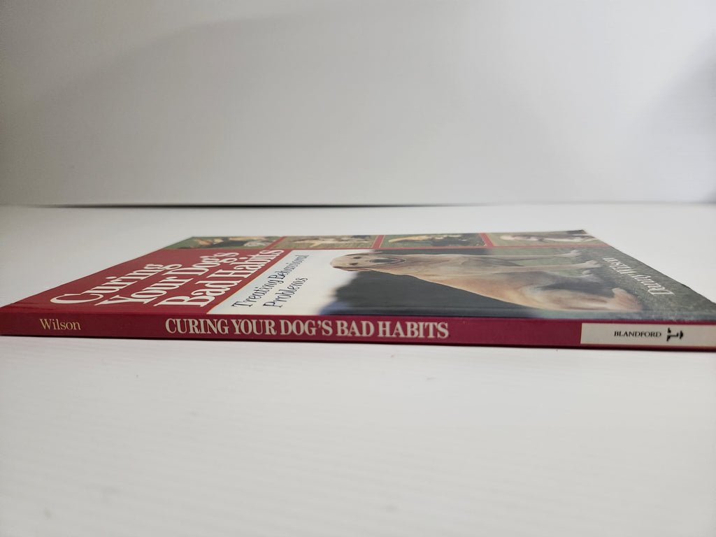 Curing Your Dog's Bad Habits - Danny Wilson