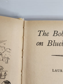 The Bobbsey Twins on Blueberry Island - Laura Lee Hope