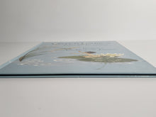 The Water Babies - Charles Kingsley (Picture Book)