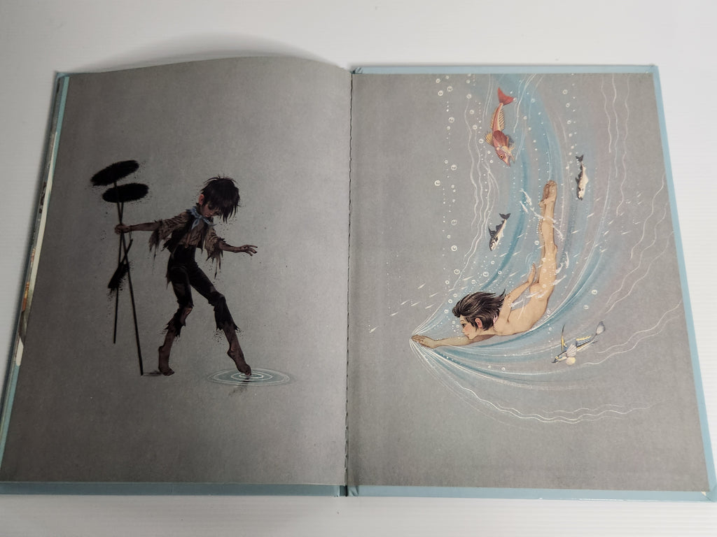 The Water Babies - Charles Kingsley (Picture Book)