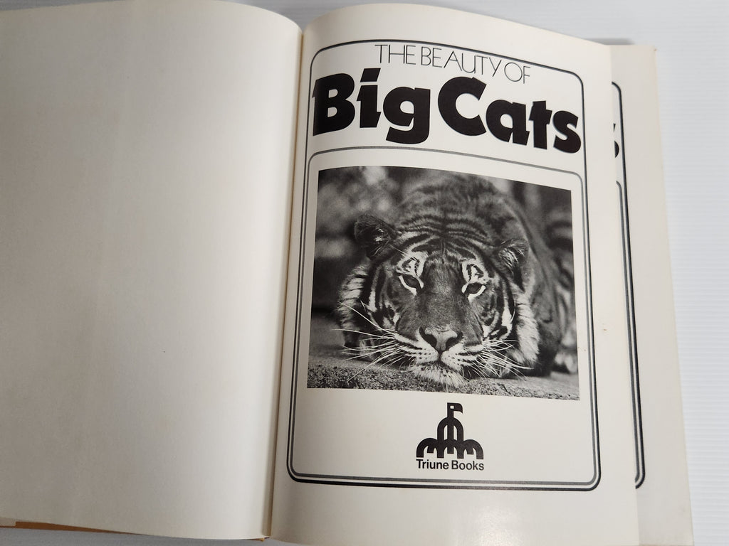 The Beauty of Big Cats - Howard Loxton