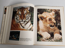 The Beauty of Big Cats - Howard Loxton