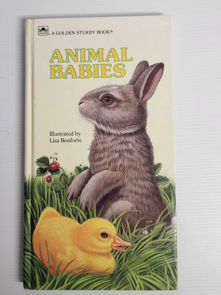 Animal Babies - Rebecca Dickinson