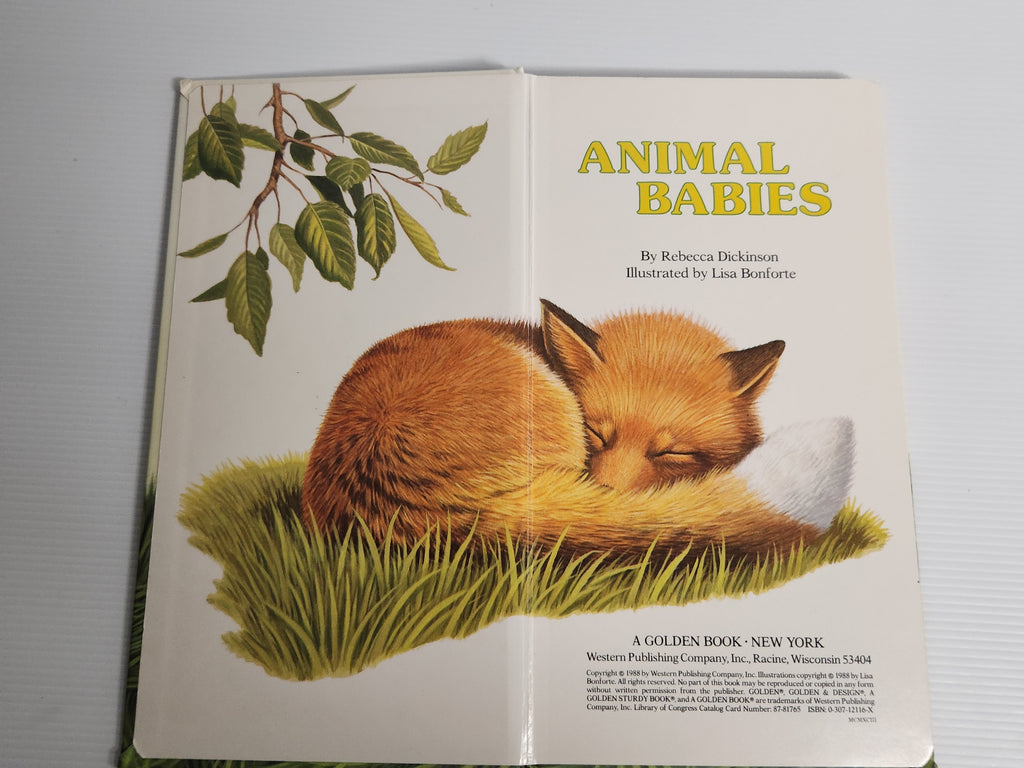 Animal Babies - Rebecca Dickinson